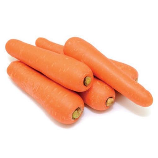 Picture of Carrot