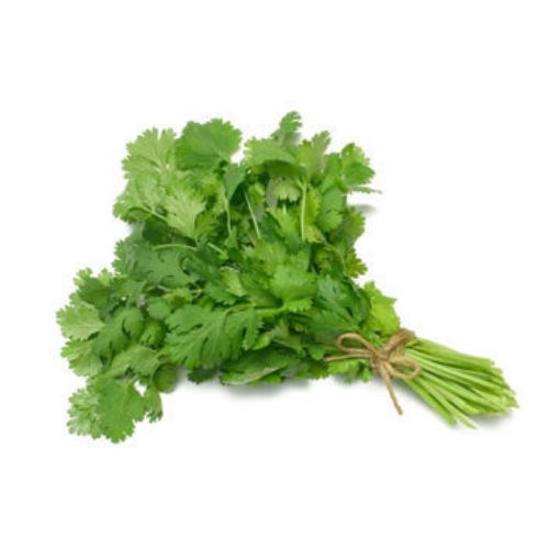 Picture of Cilantro