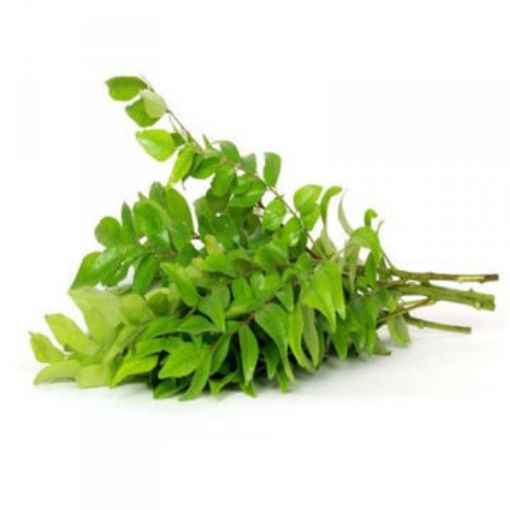 Picture of Curry Leaf