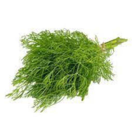 Picture of Baby Dill