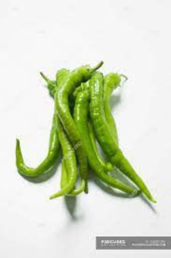 Picture of Chilli Long
